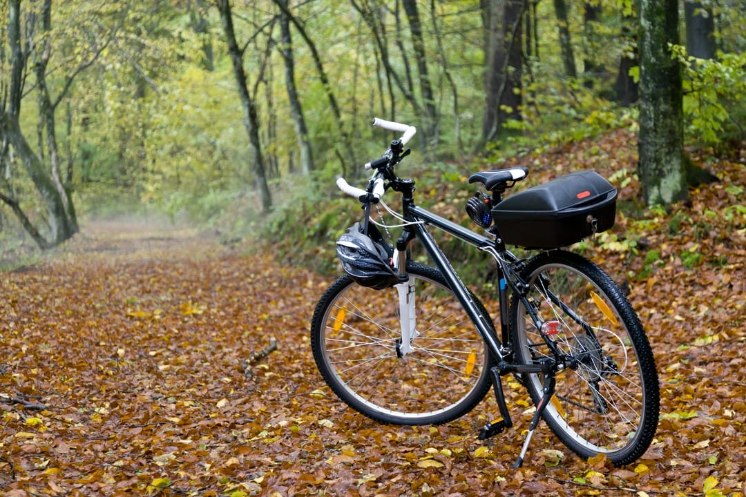 Jakie są różnice między rowerem crossowym a trekkingowym?